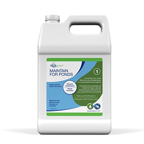 Aquascape MAINTAIN Water Treatment for Koi and Fish Ponds, Easy To Use, Powerful Blend of Beneficial Bacteria, Phosphate Binder, Flocculent, and Detoxifier, 1 gallon / 3.78 L | 96060