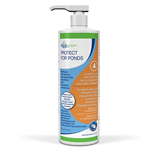 Aquascape PROTECT Water Treatment Koi and Fish Ponds, All-natural Formulation Effectively Reduces Fish Stress and Promotes Fish Health, 16 ounce / 473-ml | 96070