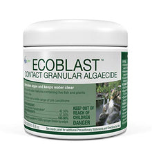 Load image into Gallery viewer, Aquascape 29311 EcoBlast Pond Algaecide (Granular), 8.8 oz, White