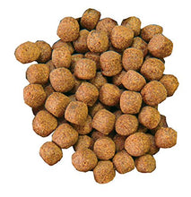 Load image into Gallery viewer, Aquascape Premium Color Enhancing Fish Food Pellets for Pond, Koi, Goldfish and More (11 Pound)