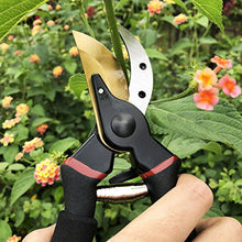 Load image into Gallery viewer, gonicc 8&quot; Professional Premium Titanium Bypass Pruning Shears (GPPS-1003), Hand Pruners, Garden Clippers.