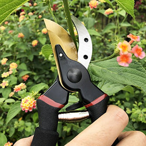 gonicc 8" Professional Premium Titanium Bypass Pruning Shears (GPPS-1003), Hand Pruners, Garden Clippers.